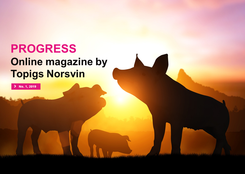 New from Topigs Norsvin: Online Magazine Progress