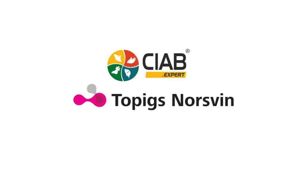 CIAB distributor of Topigs Norsvin genetics in Ukraine